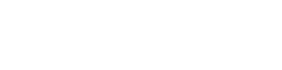 株式会社パイナス
